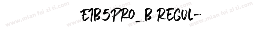 文鼎黑體 E1B5Pro_B Regul字体转换